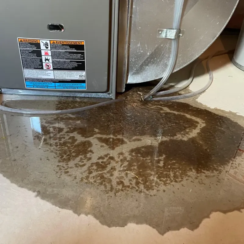 Appliance Leak Cleanup in Durham County, NC